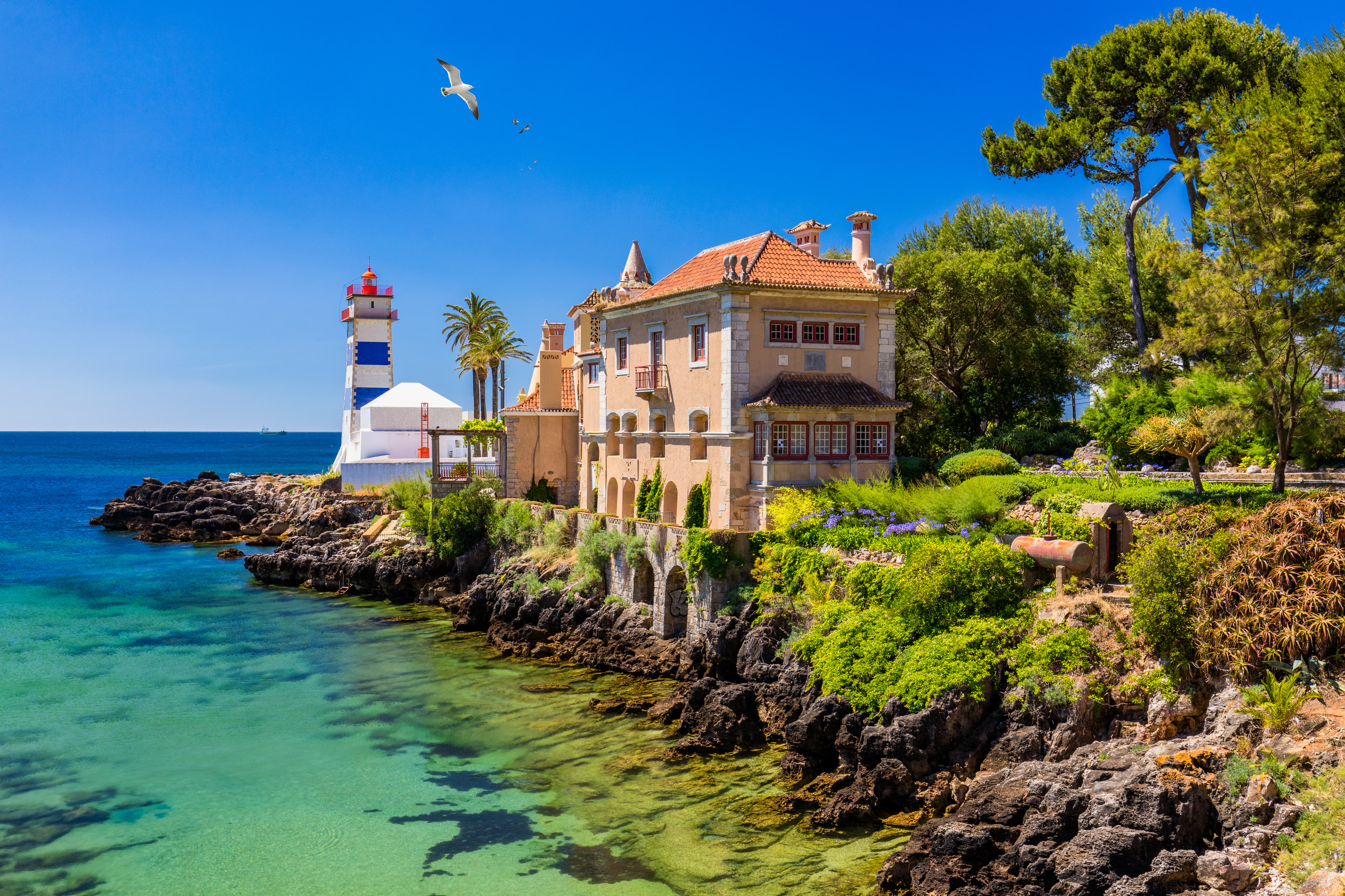 1671779542 cascais (2)