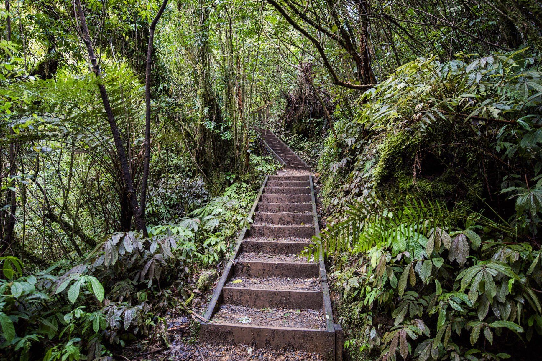 10 Glow Worm Caves In New Zealand For Magical Experience!