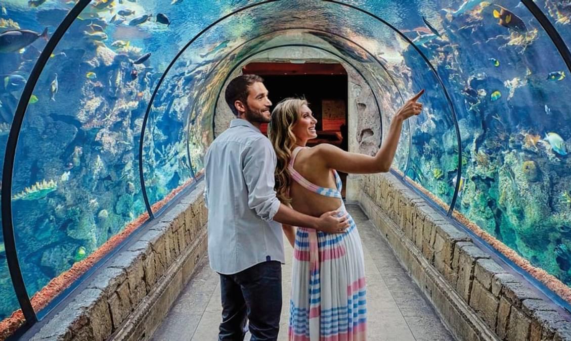 10 Zoos and Aquariums in Las Vegas That You Must Checkout!