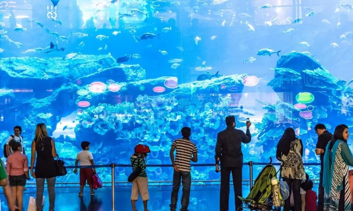 10 Zoos and Aquariums in Las Vegas That You Must Checkout!