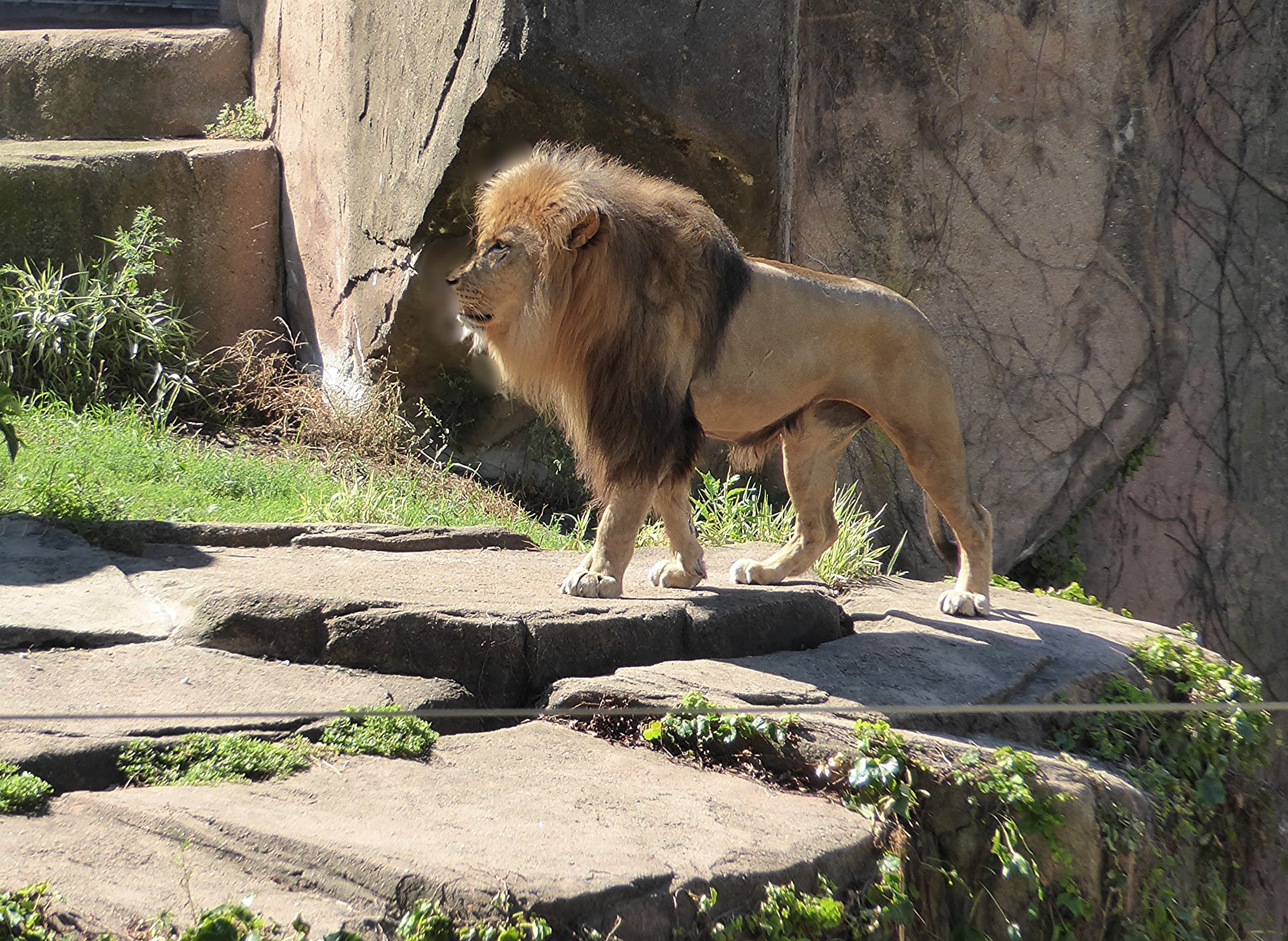Lincoln Park Zoo, Chicago