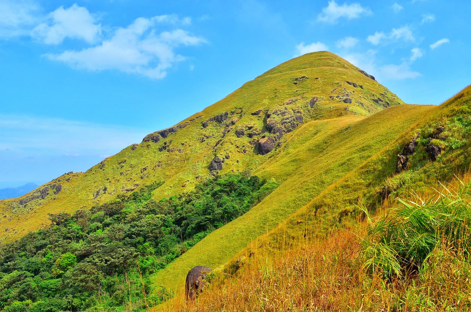 20 Things to Do in Sakleshpur - {{year}} (Starting from ₹999 Only)