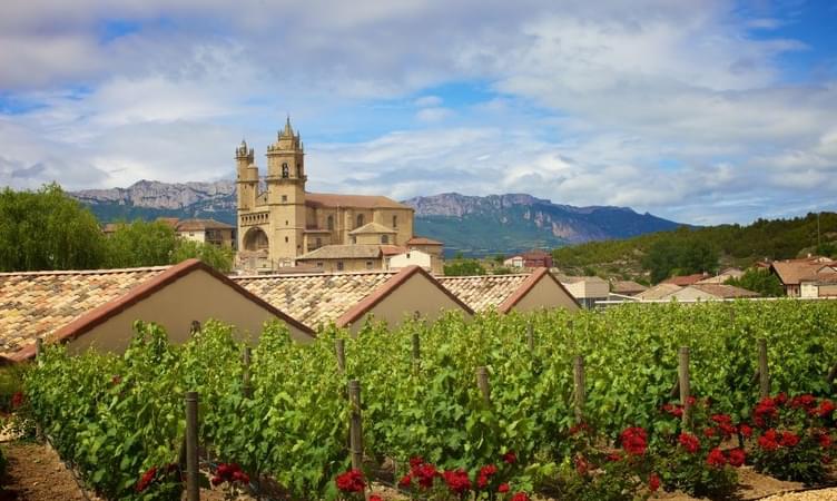 Wine tasting in La Rioja