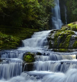 Top 10 Stunning Waterfalls in New Zealand