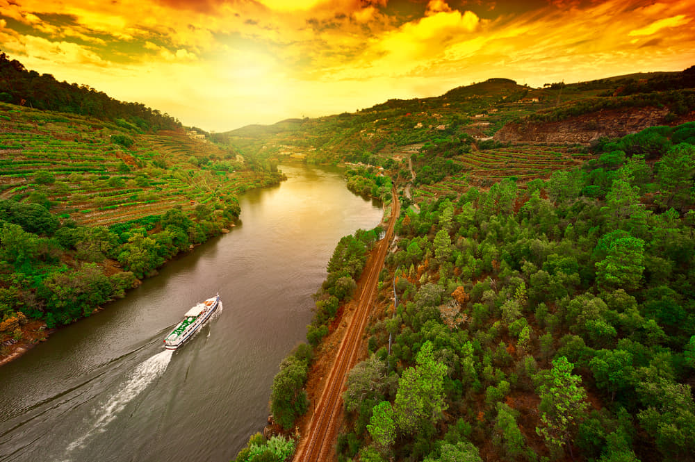 Douro Cruise