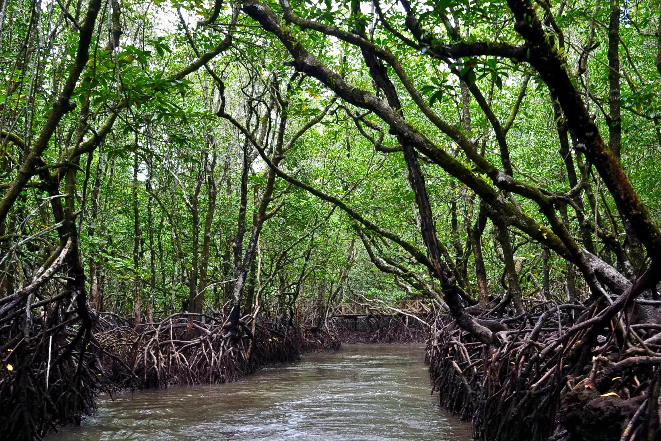 Campbell Bay National Park