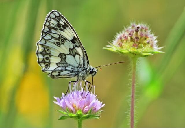 Galathea National Park