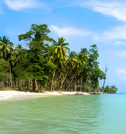 6 National Parks in Andaman & Nicobar For a Wildlife Escape!