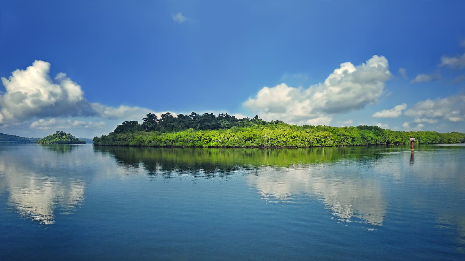 6 National Parks in Andaman & Nicobar For a Wildlife Escape!