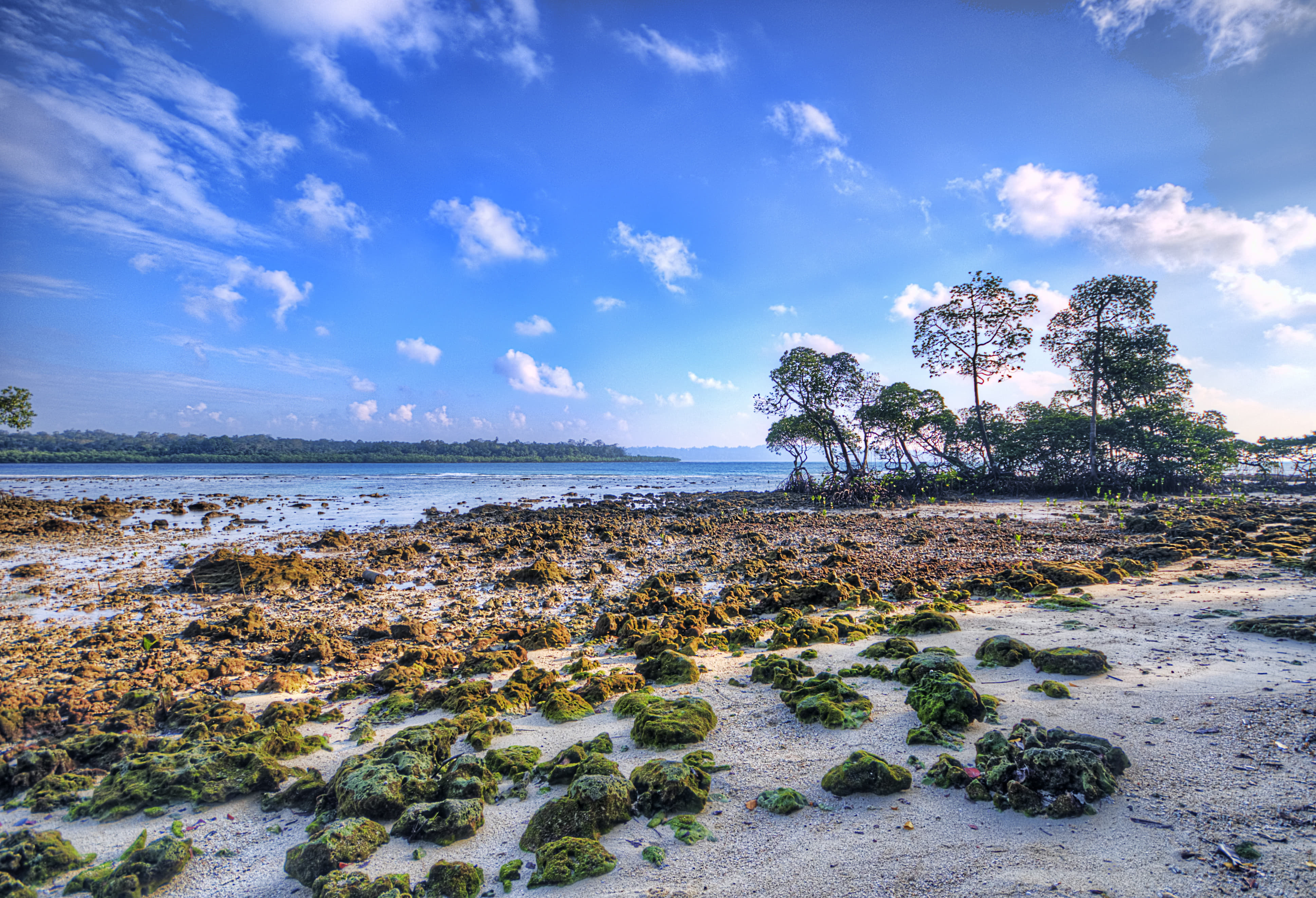 Cultural Festivals of Andaman in August 