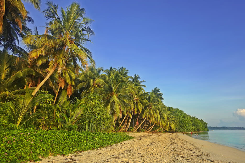 Why Visit Andaman in December