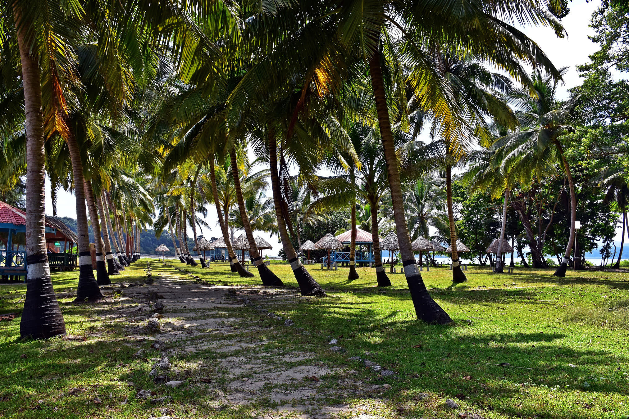 How to Reach Andaman