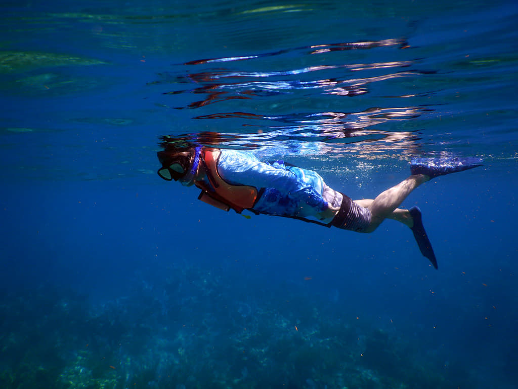 Snorkelling
