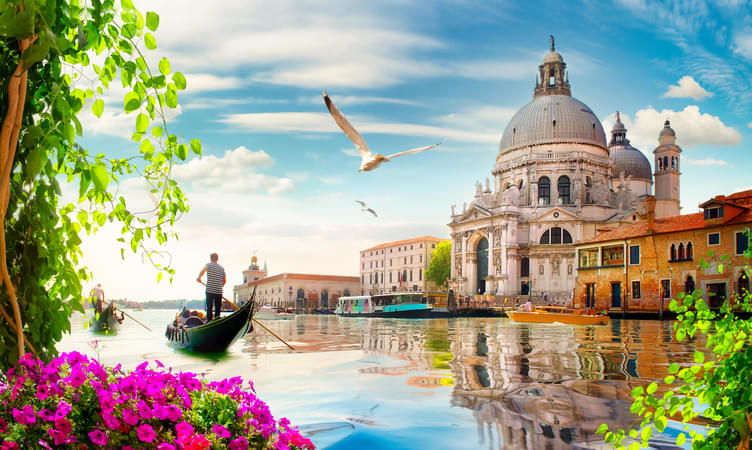 Explore the Canals of Venice