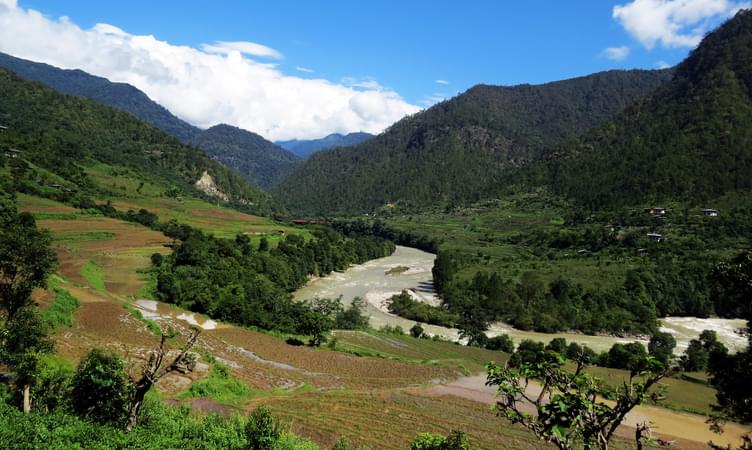See Wildlife At Jigme Dorji National Park