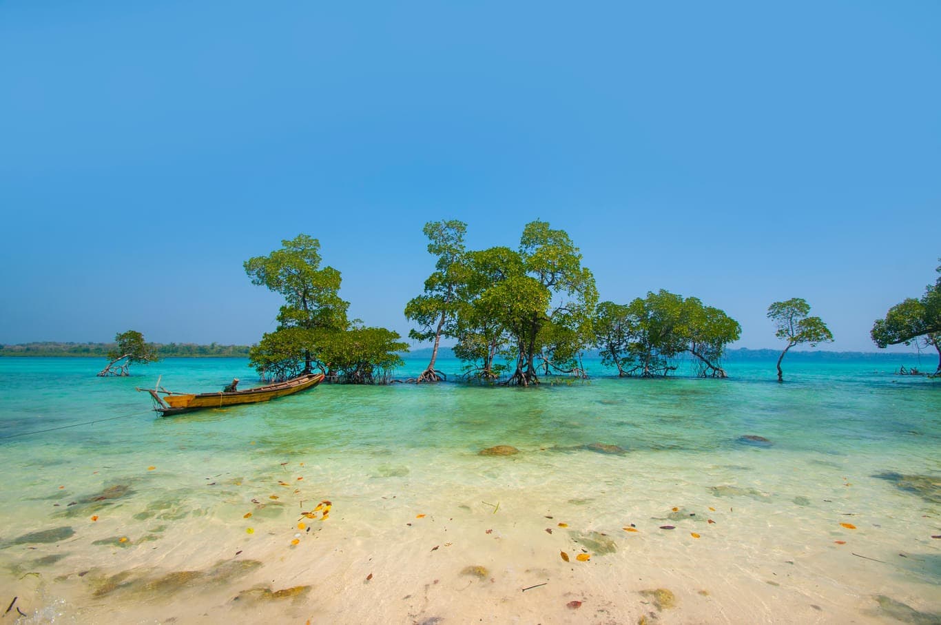 4 Days Andaman Itinerary: Plan A Perfect 4 Days Andaman Trip!
