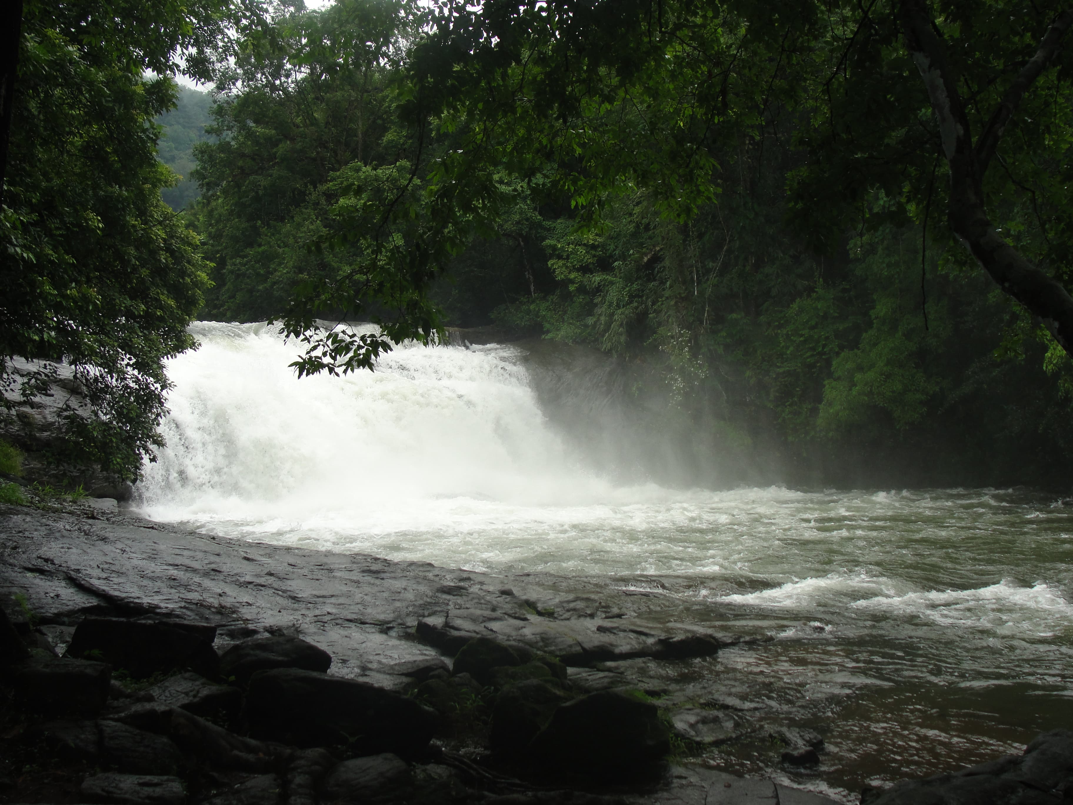 Thommankuthu Waterfalls
