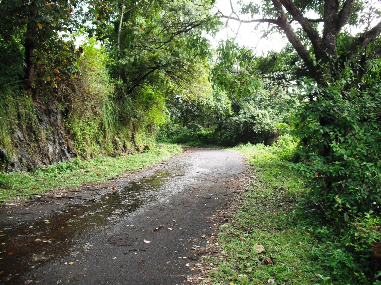 Idukki Wildlife Sanctuary