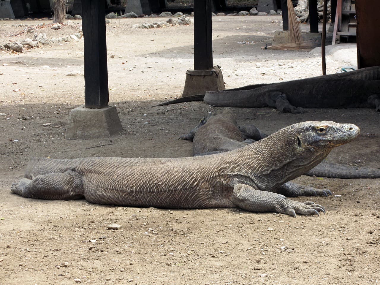 Komodo Island