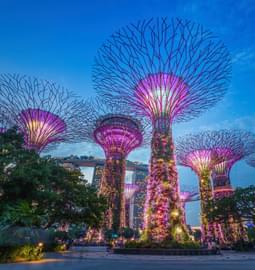 5 Days Singapore Itinerary: Plan A Perfect 5 Day Singapore Trip!