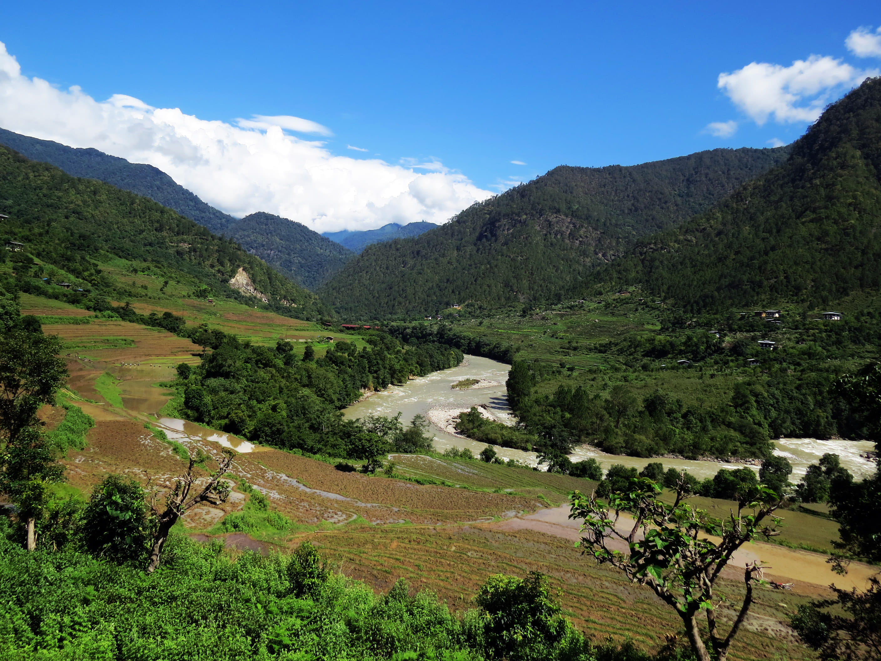 Jigme Dorji National Park
