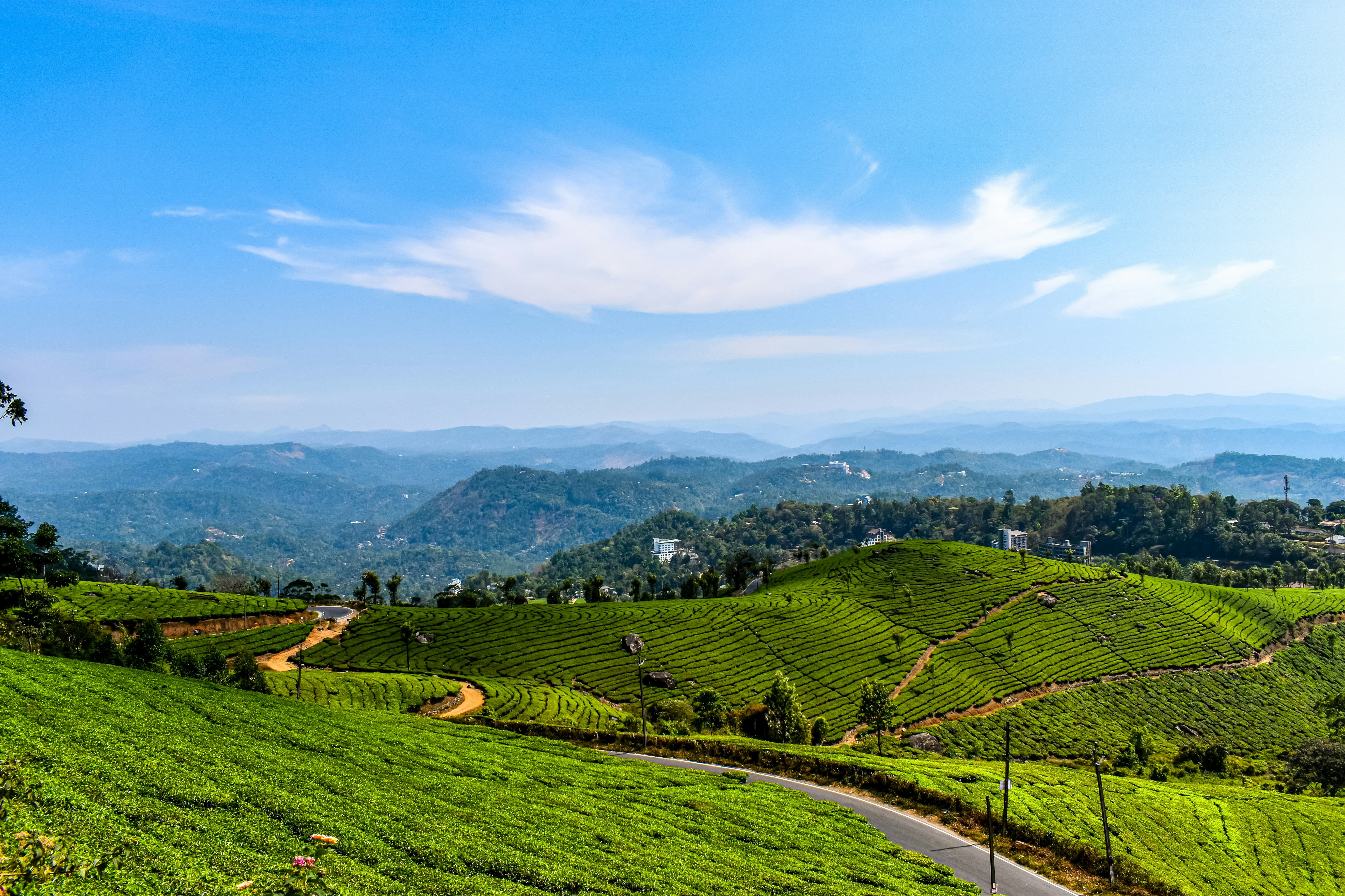 10 Hill Stations Near Munnar {{year}}: With Distance & Best Time