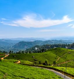 10 Hill Stations Near Munnar {{year}}: With Distance & Best Time