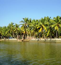 10 Islands in Kerala To Visit For A Relaxing & Fun Vacation!