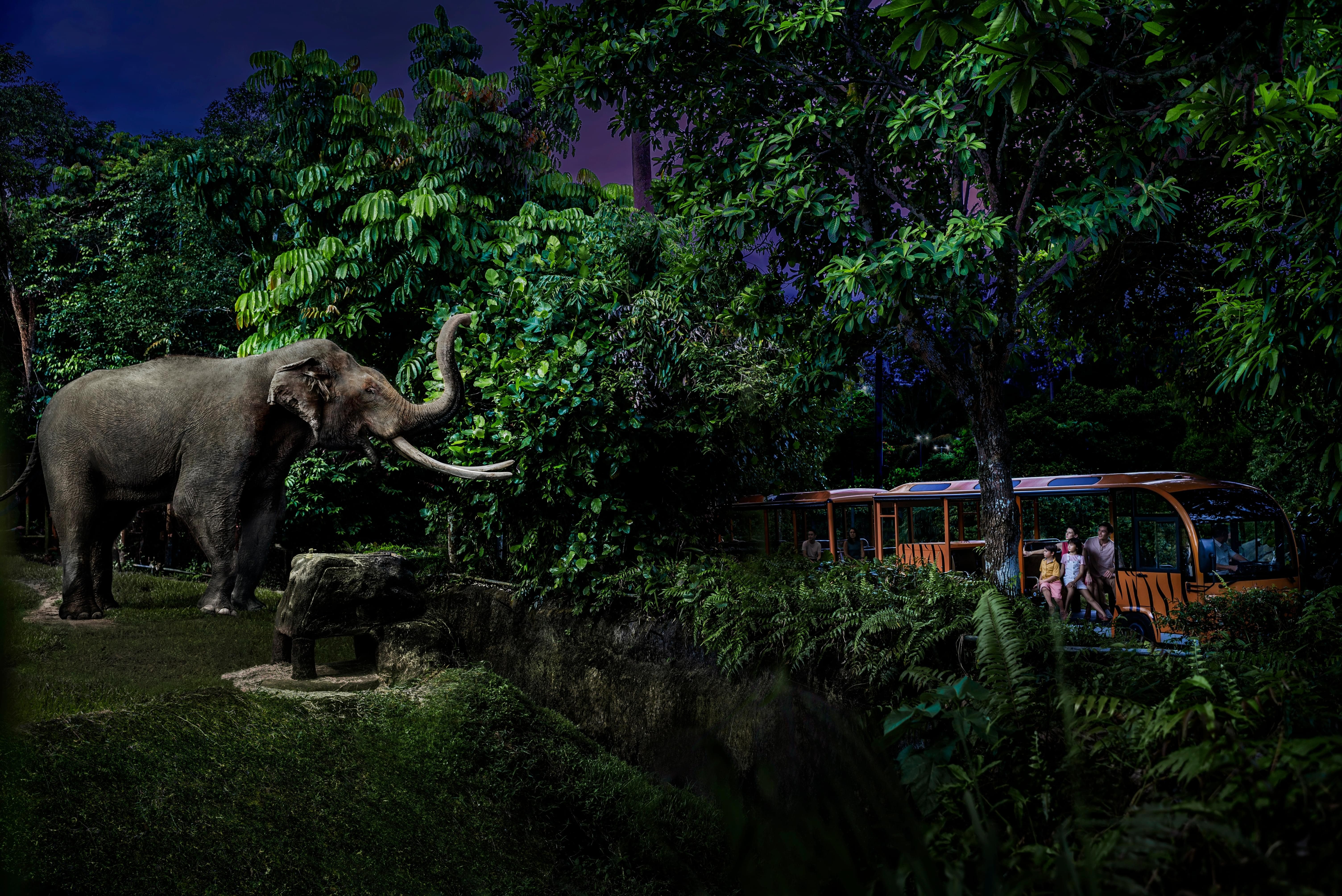 Nothing Is Visible Without Night-Vision Goggles