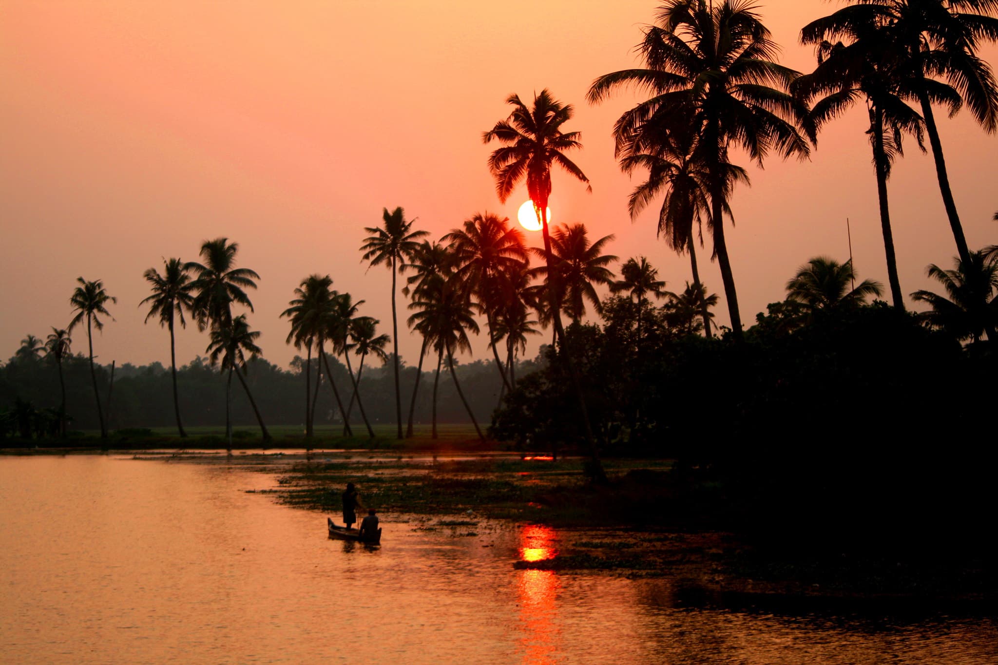 Kerala in January: Weather, What to Pack & Places to Visit
