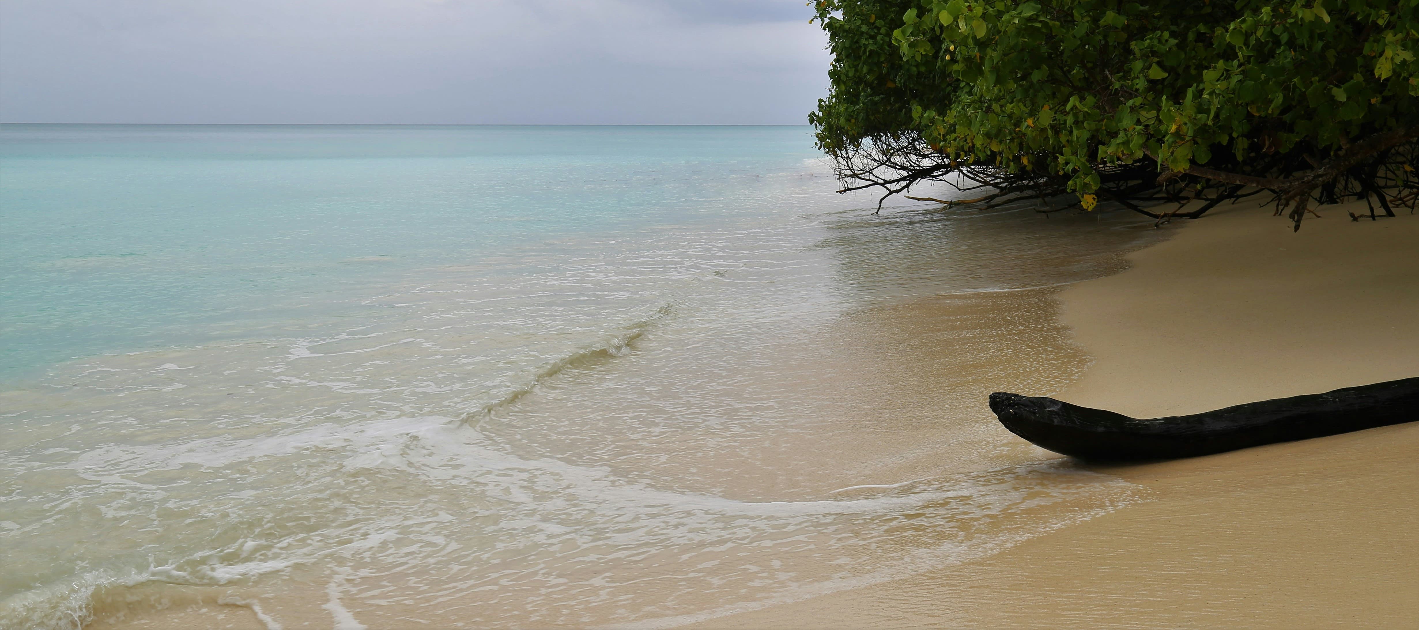 Places to Visit in Andaman in 3 Days For Your Perfect Itinerary