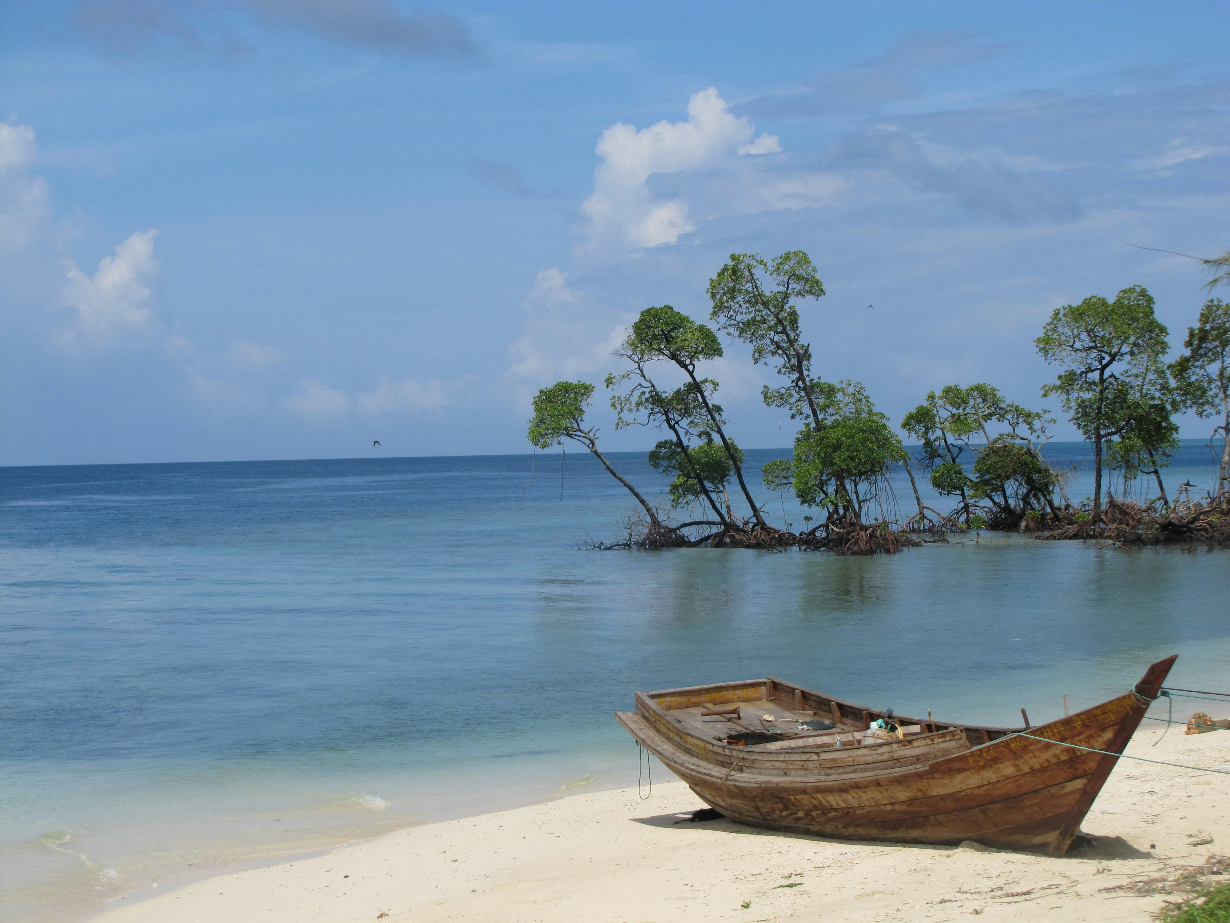 Step 1: Best Time to Visit Andaman