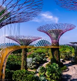 15 Singapore and Bali Tour Packages: Upto 35% Off - Limited Offer