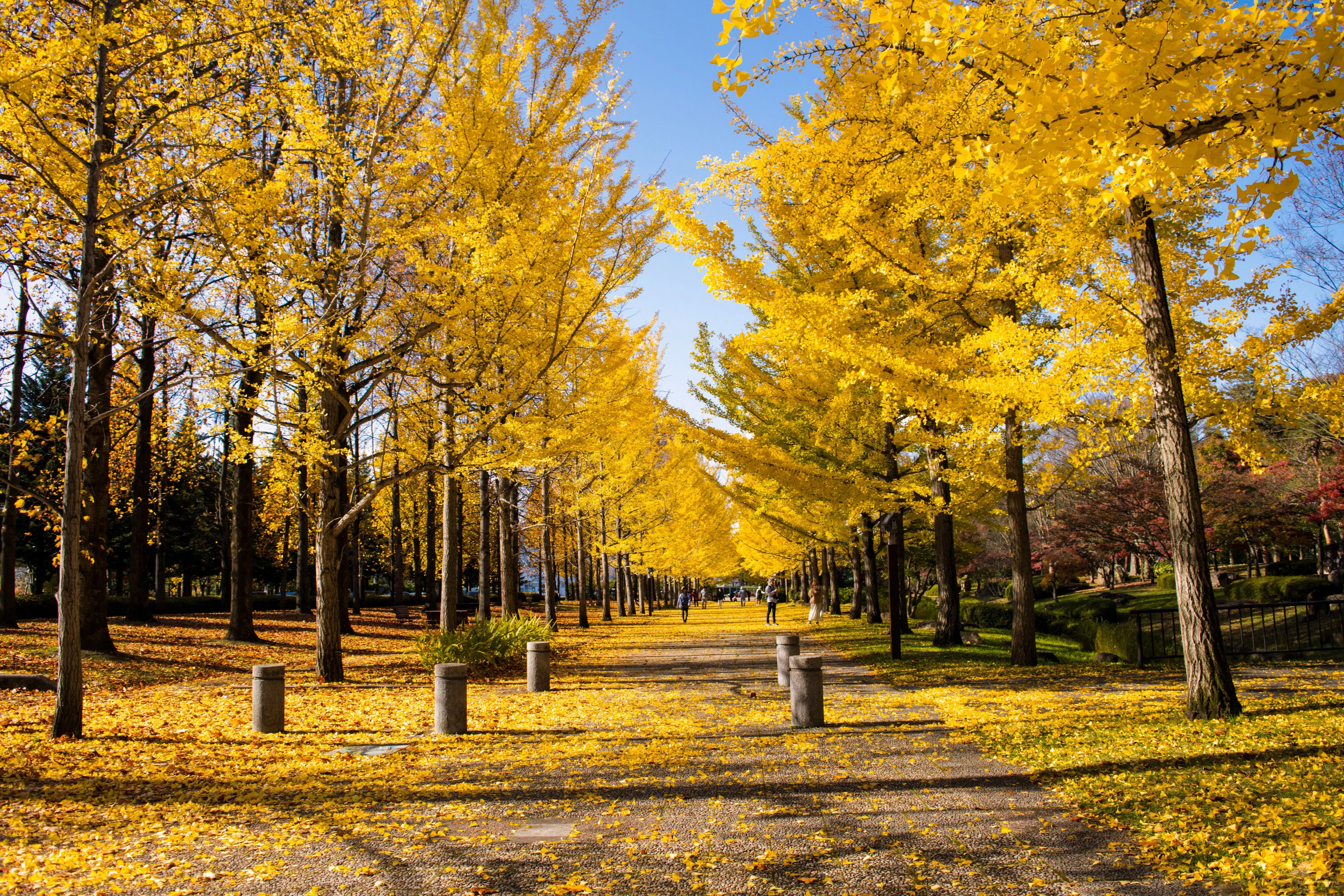 Day 2: Day Excursion To Sonamarg