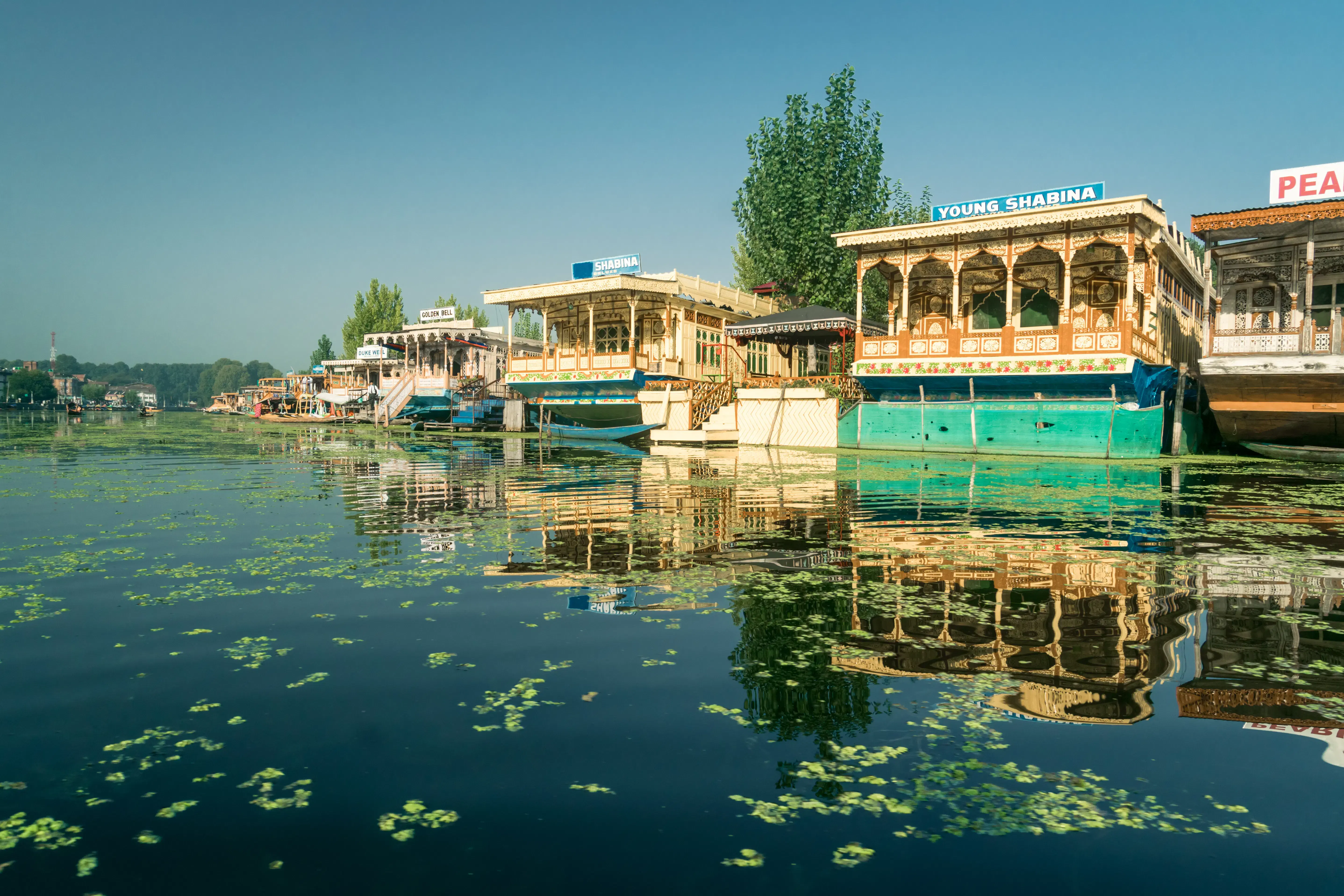 Kashmir 5 Days Itinerary | Plan A Kashmir Trip For 5 Days!