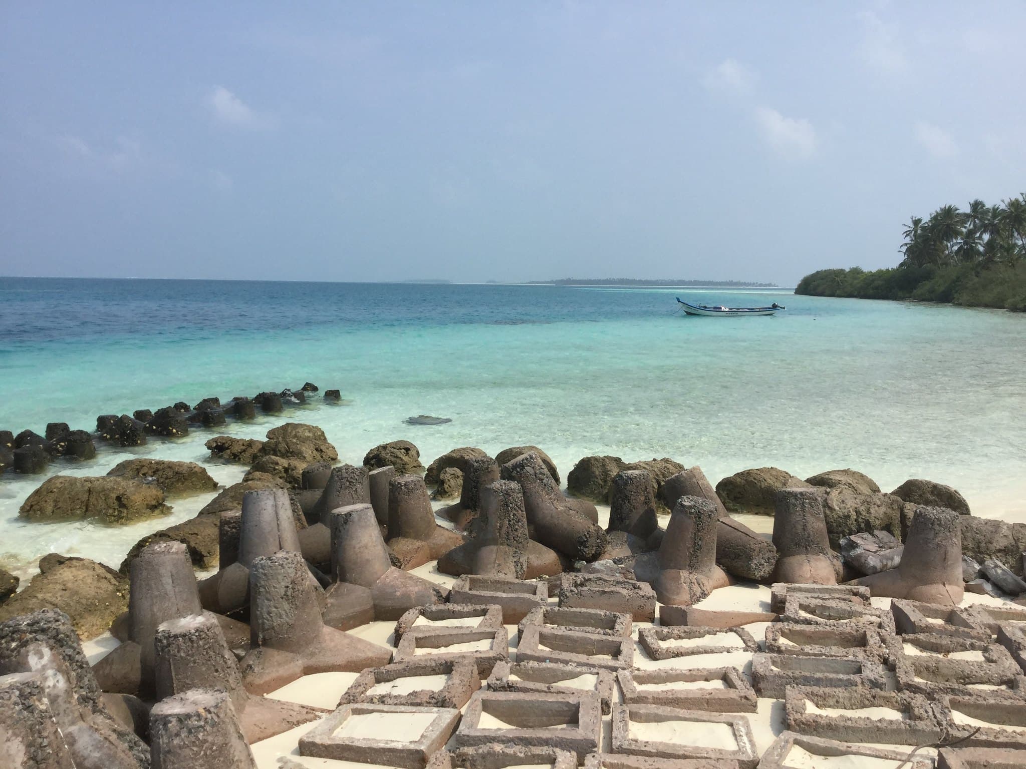 1740653007 48755298041 86e71d1414 k