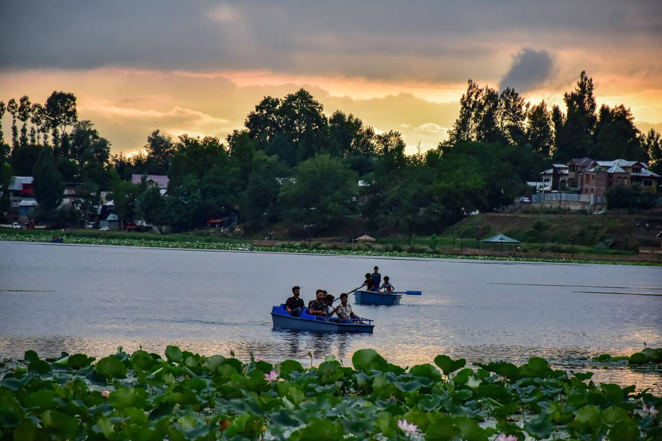 Go Birdwatching At Manasbal Lake