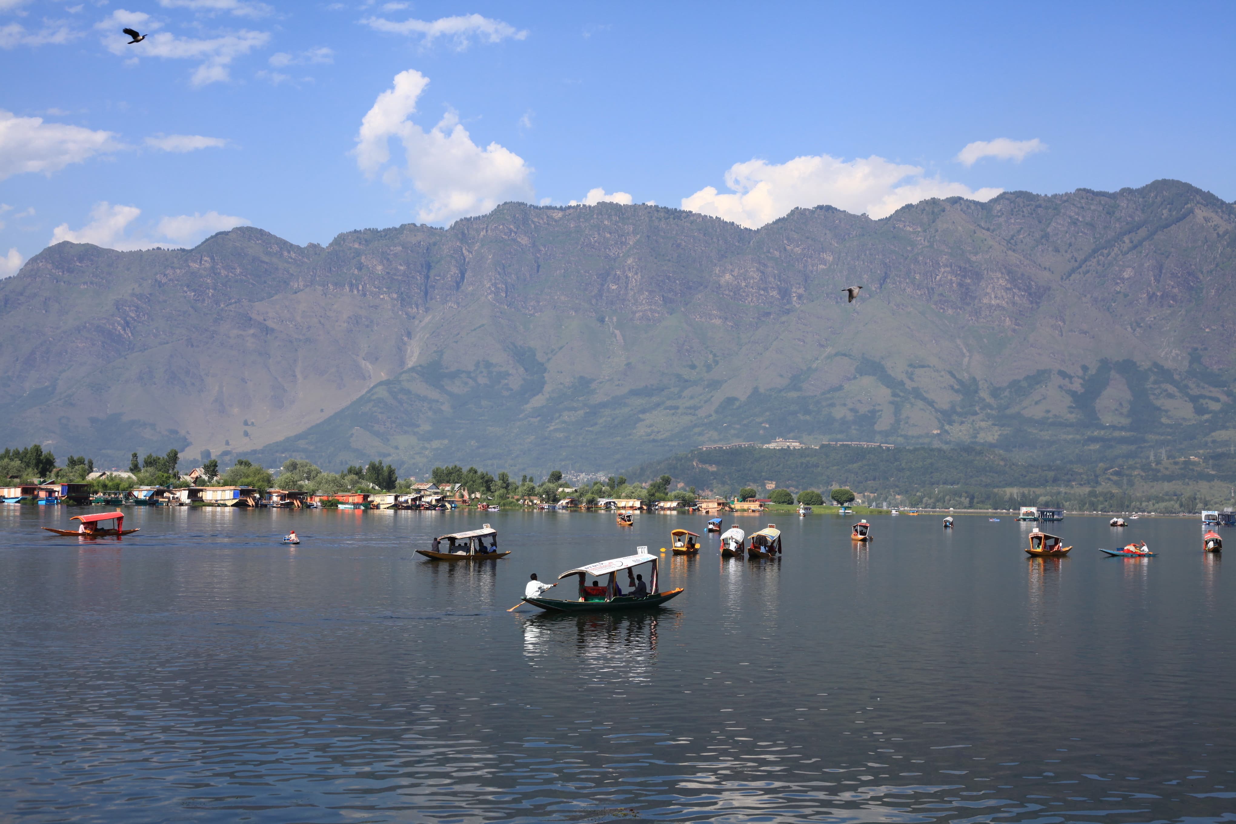 Temperature of Srinagar in May