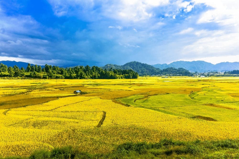 Ziro Valley, Arunachal Pradesh: Your Escape To Peace And Beauty