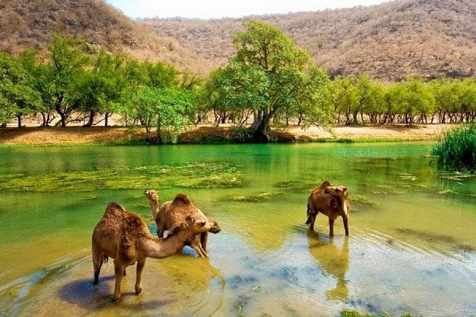 Gravity Hill (Anti-Gravity Point), Salalah