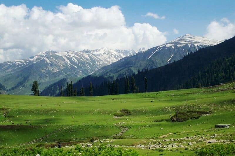 Gulmarg in August | Weather, What to Wear, Activities & More