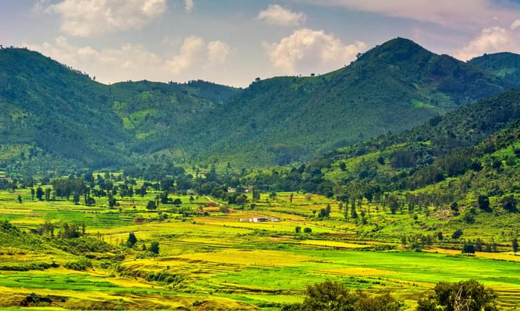 Araku Valley, Andhra Pradesh