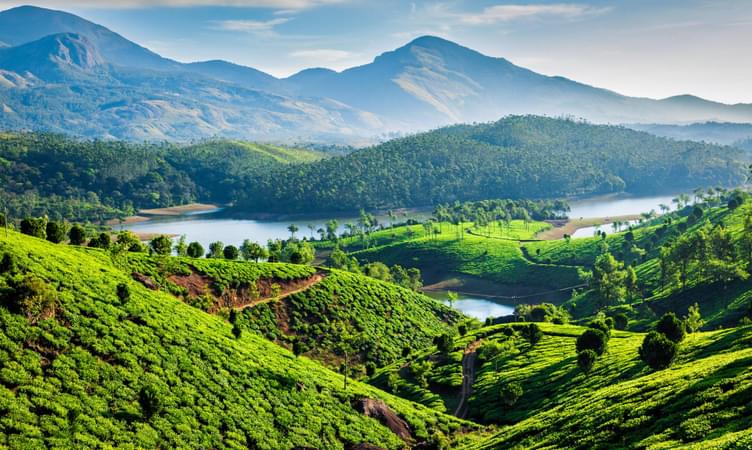 Thekkady , Kerala
