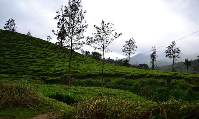 Wayanad, Kerala