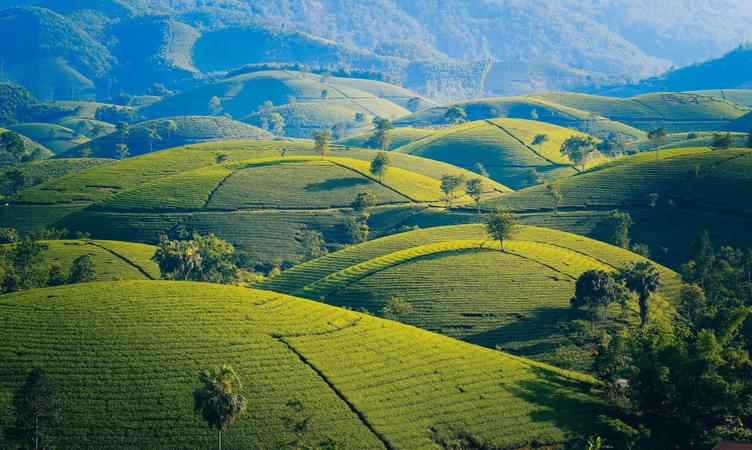 Coonoor, Tamil Nadu