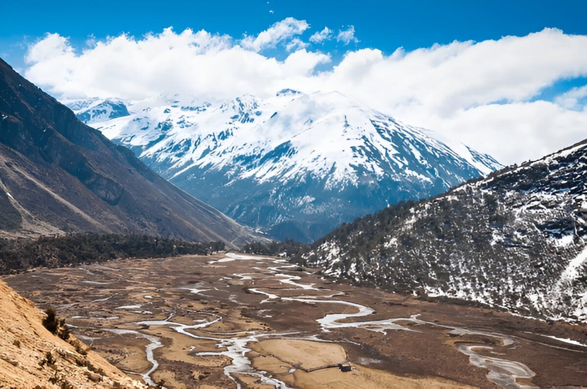 Explore high-altitude trekking trails in Chopta Valley