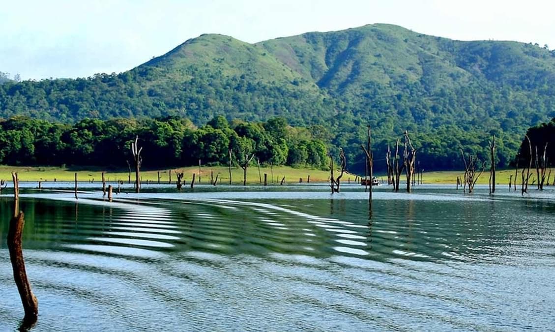 Periyar Wildlife Sanctuary, Kerala