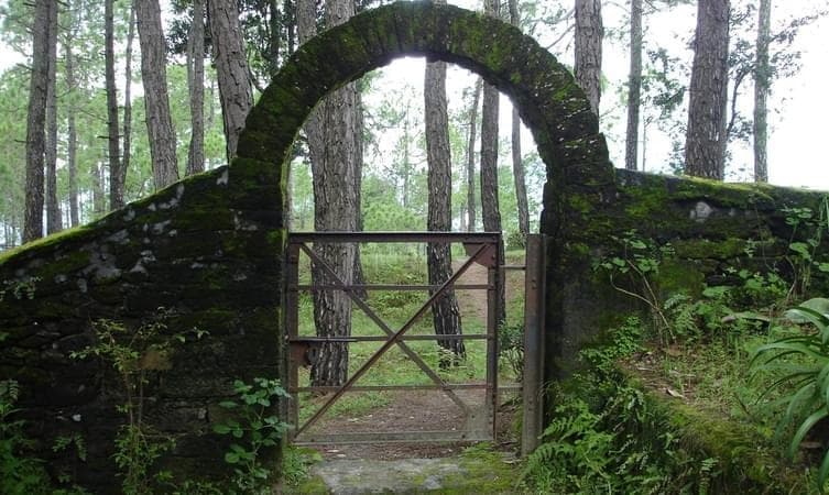 Binsar Wildlife Sanctuary, Uttarakhand