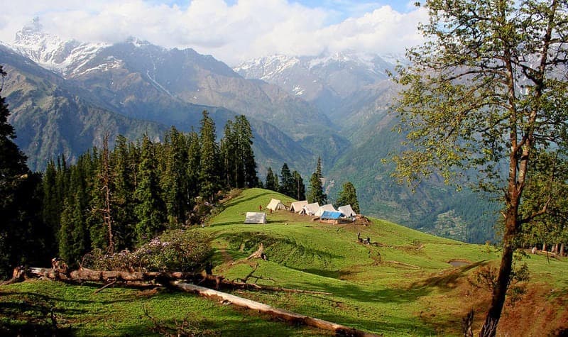 Great Himalayan National Park, Himachal Pradesh