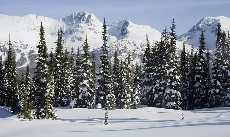 Gulmarg Biosphere Reserve